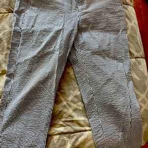 Banana Republic Cropped Straight leg Pants